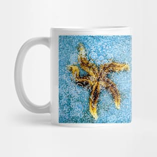 Frozen Starfish Mug